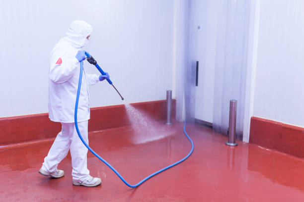 Best Dumpster Area Cleaning  in Rochester Hills, MI